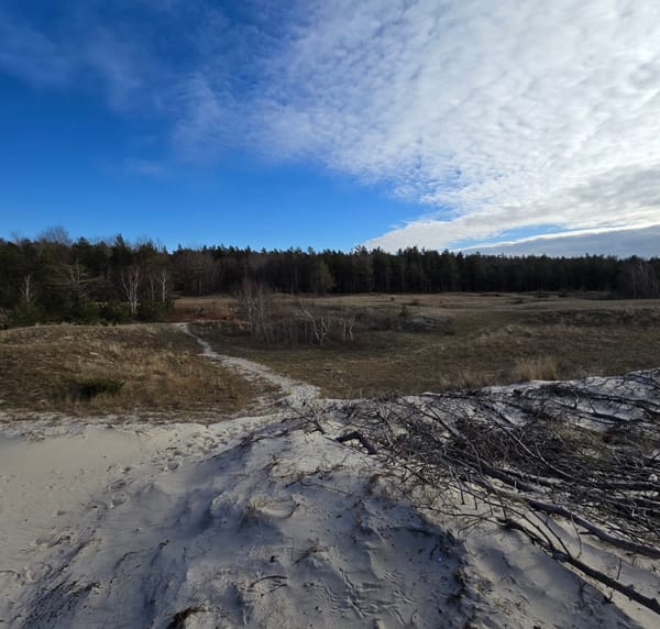 Winter Serenity: The Baltic Sea on a February Day