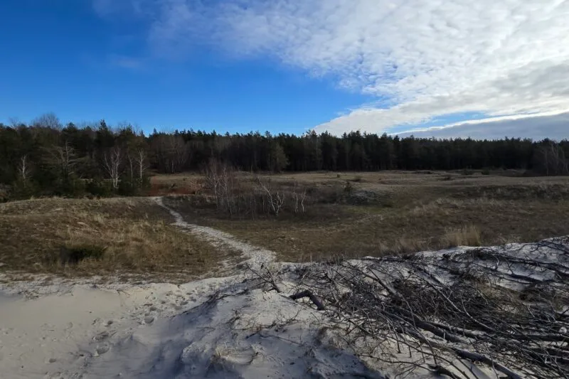 Winter Serenity: The Baltic Sea on a February Day